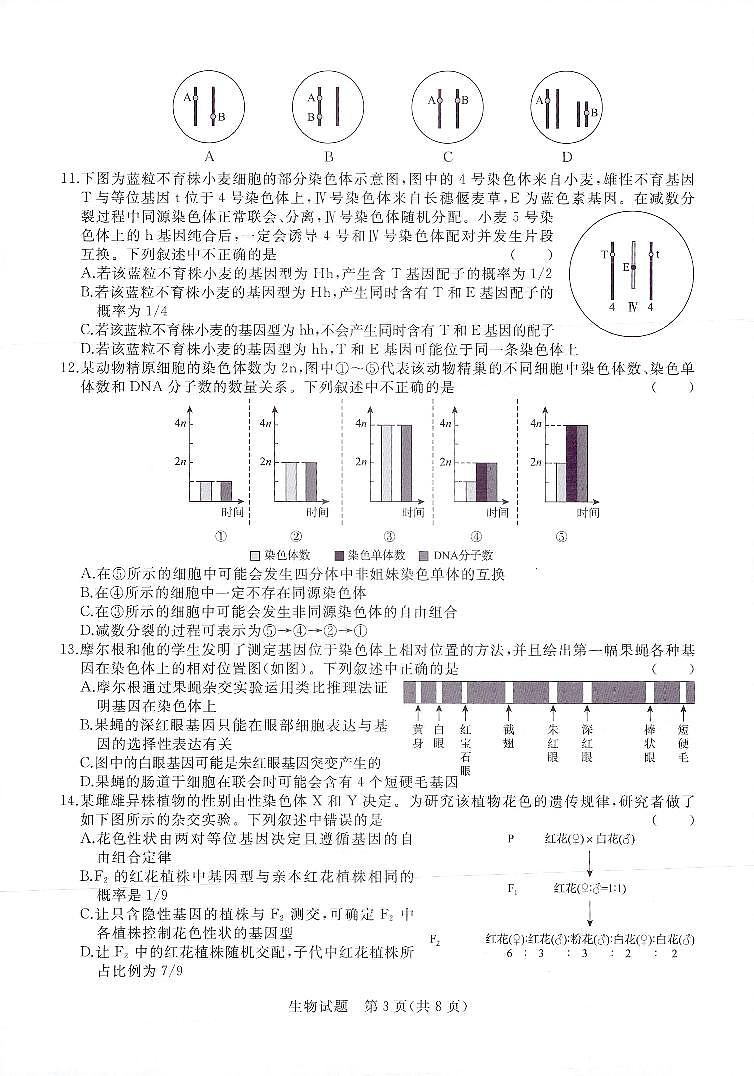 河南省2022-2023学年高三上学期青桐鸣大联考生物试题第3页