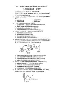 2022-2023学年重庆市高三上学期11月期中调研测试 生物 PDF版