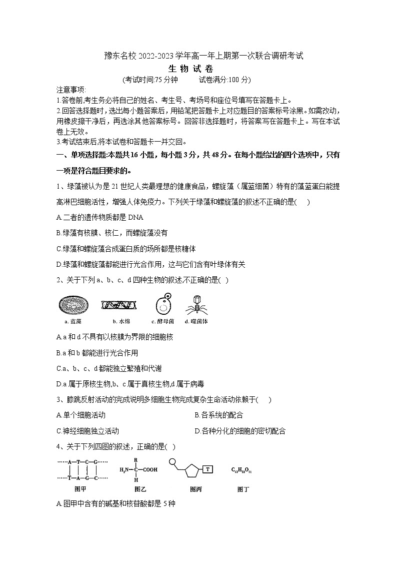 河南省豫东名校2022-2023学年高一生物上学期第一次联合调研考试（Word版附解析）01