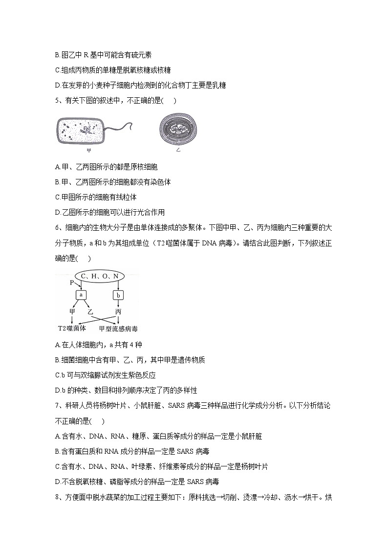 河南省豫东名校2022-2023学年高一生物上学期第一次联合调研考试（Word版附解析）02