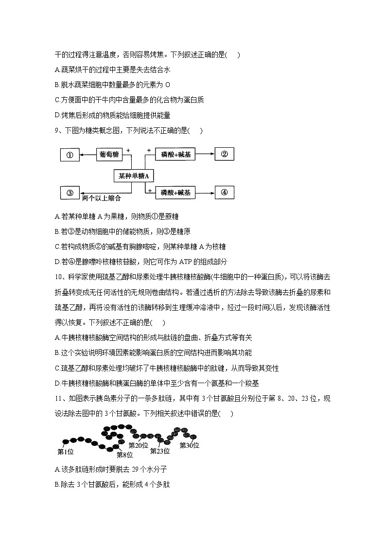 河南省豫东名校2022-2023学年高一生物上学期第一次联合调研考试（Word版附解析）03