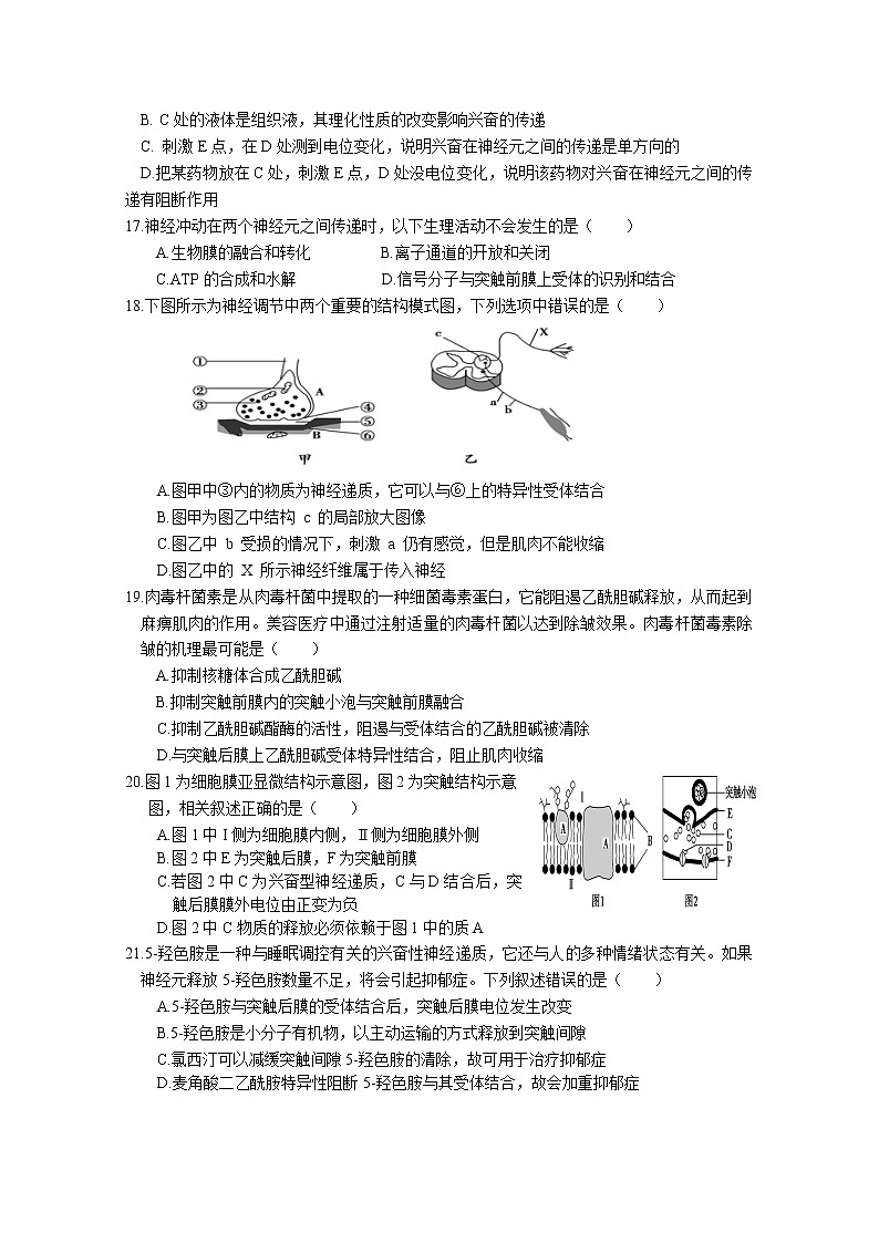 北京市首都师范大学附属密云中学2022-2023学年高二生物上学期10月阶段性练习试题（Word版附答案）第3页
