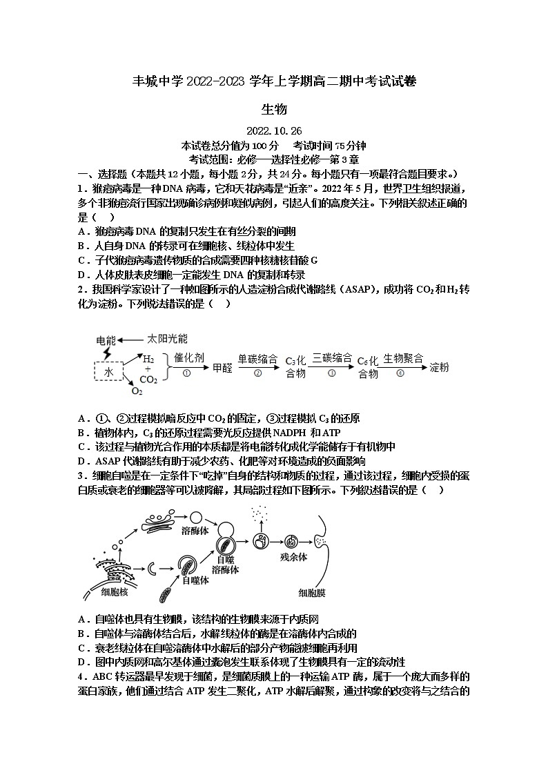 江西省宜春市丰城市2022-2023学年高二生物上学期10月期中考试试卷（Word版附答案）01