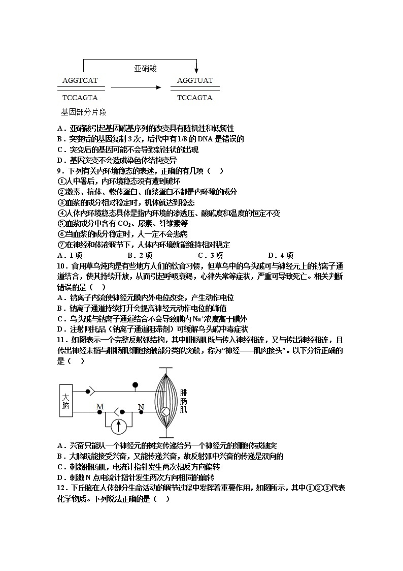 江西省宜春市丰城市2022-2023学年高二生物上学期10月期中考试试卷（Word版附答案）03