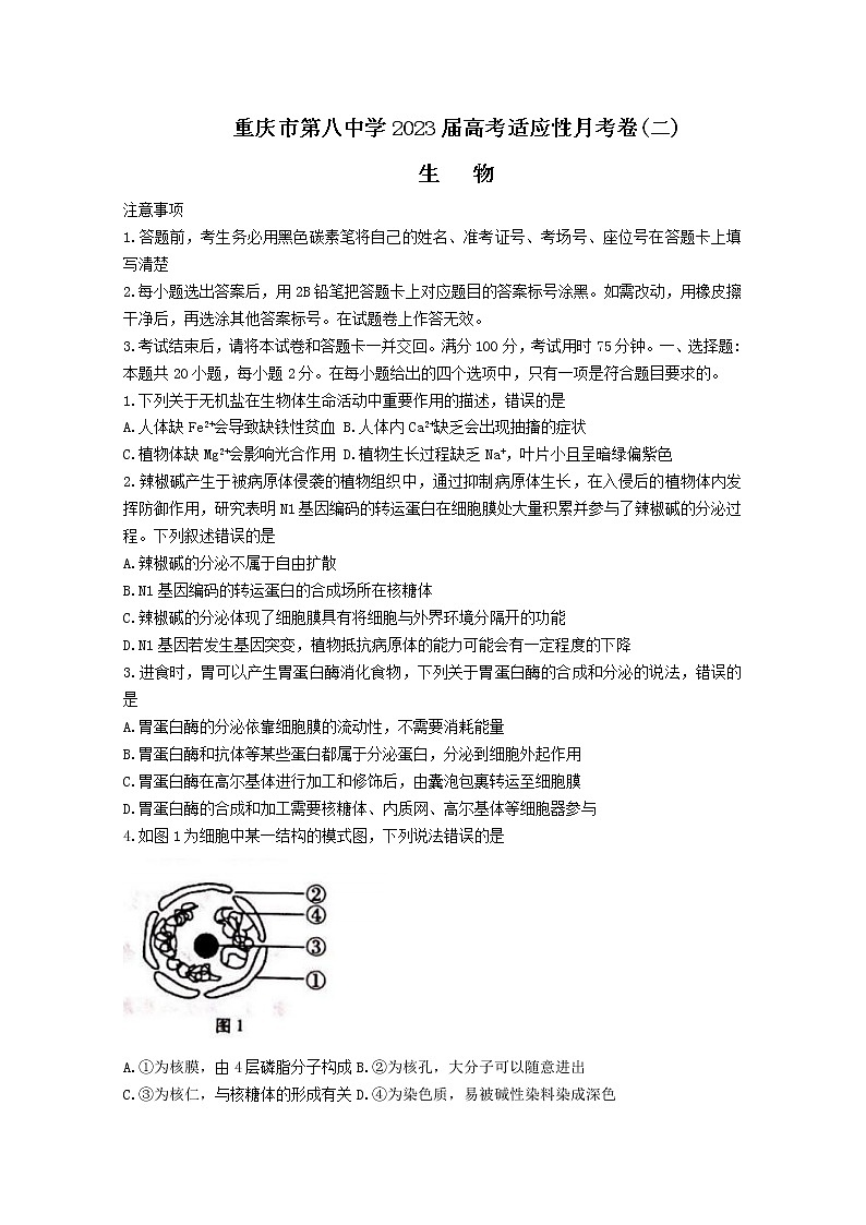 重庆市第八中学2022-2023学年高三生物上学期适应性月考卷（二）（Word版附解析）第1页