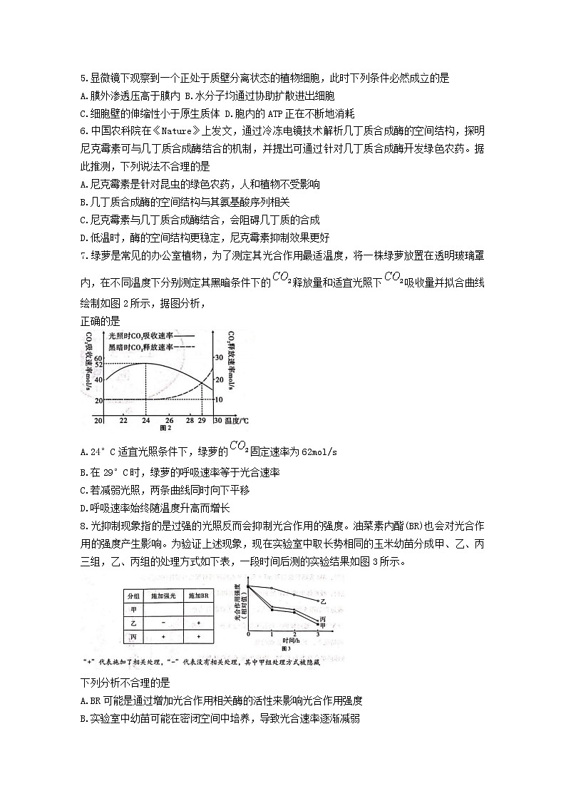重庆市第八中学2022-2023学年高三生物上学期适应性月考卷（二）（Word版附解析）第2页