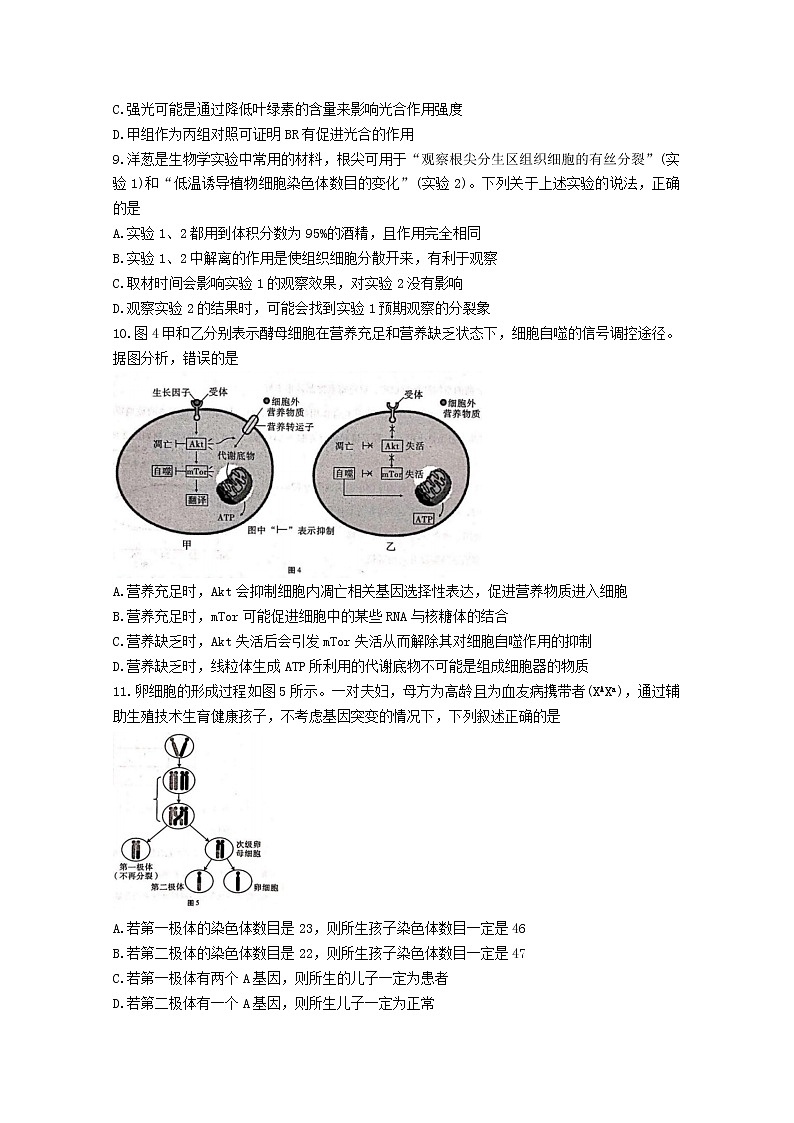 重庆市第八中学2022-2023学年高三生物上学期适应性月考卷（二）（Word版附解析）第3页