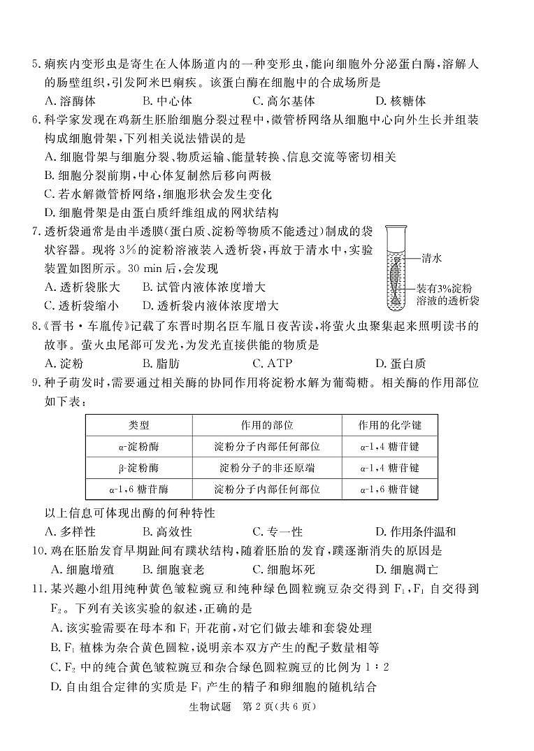 广东省深圳市六校联盟2022-2023学年高三生物上学期10月期中联考试题（PDF版附解析）第2页