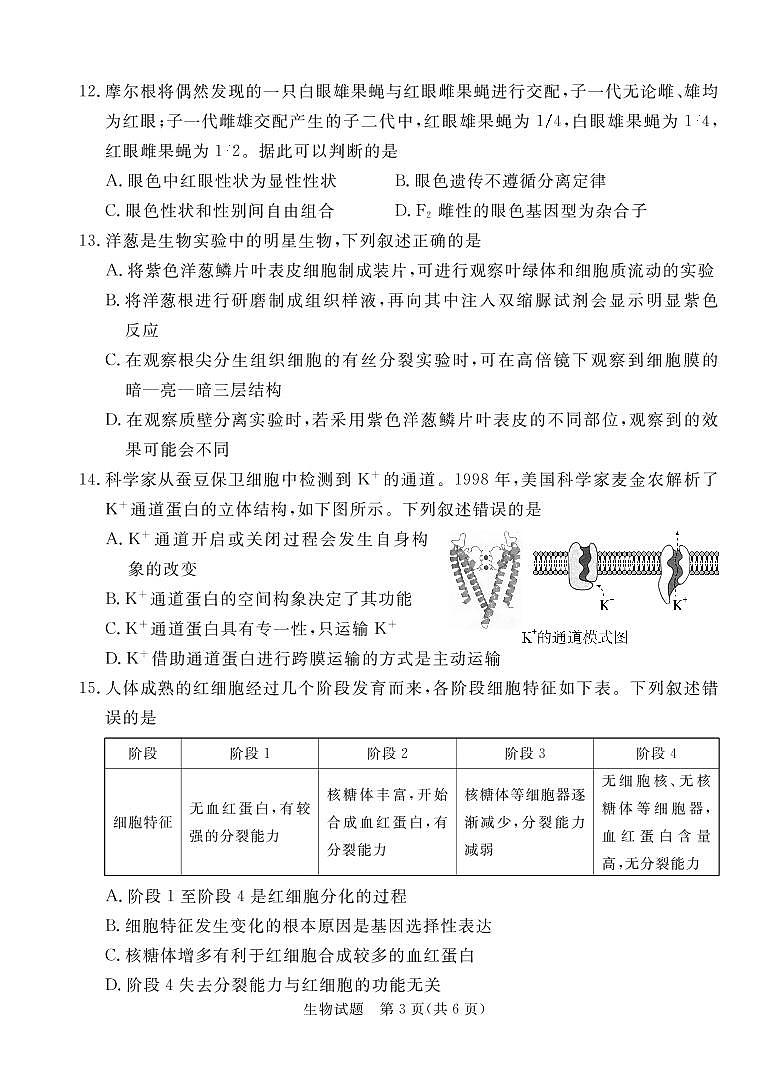 广东省深圳市六校联盟2022-2023学年高三生物上学期10月期中联考试题（PDF版附解析）第3页