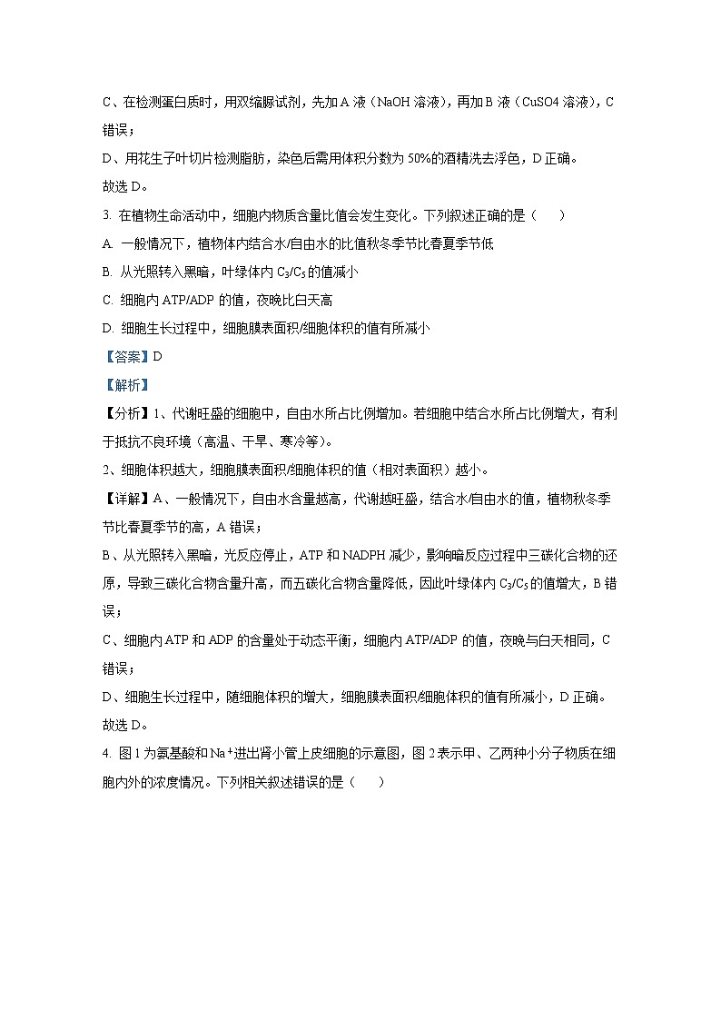 江苏省泗阳县实验高级中学2023届高三生物上学期第一次质量调研试题（Word版附解析）02