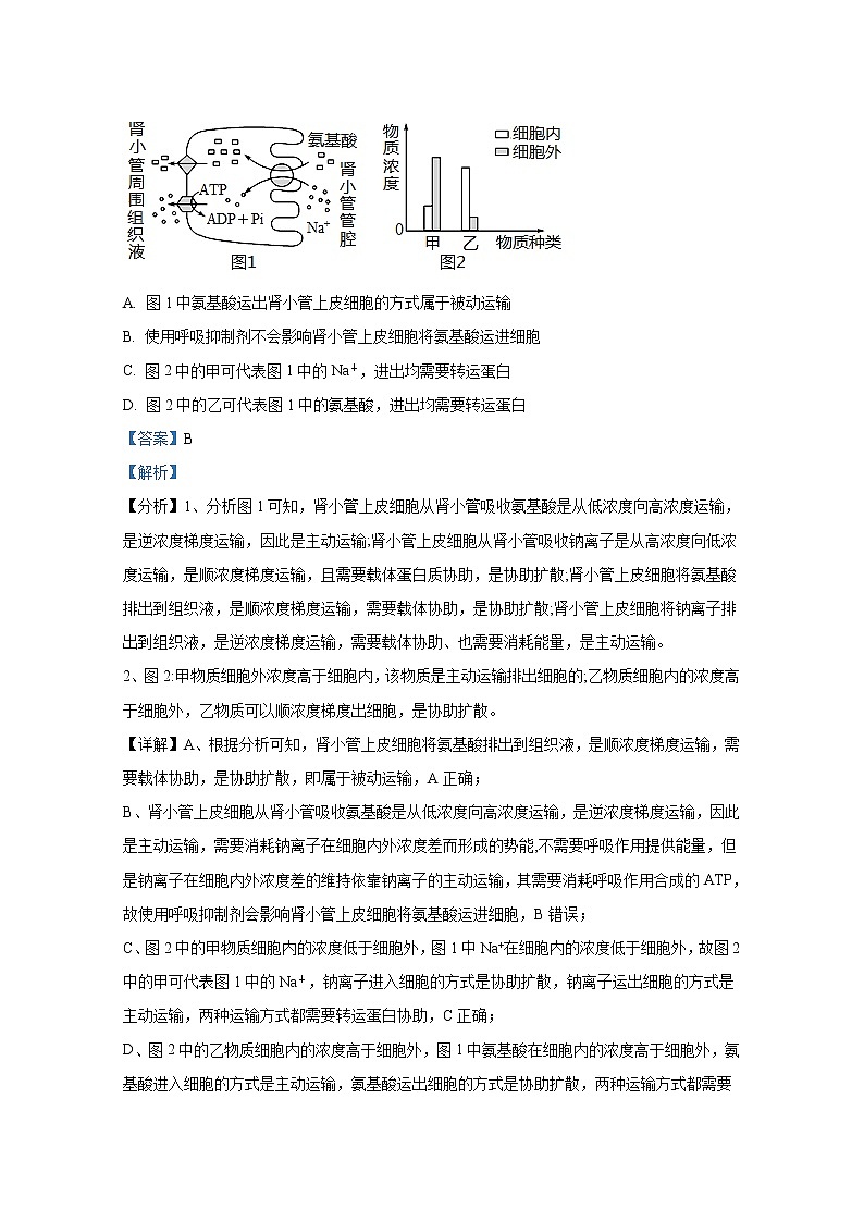 江苏省泗阳县实验高级中学2023届高三生物上学期第一次质量调研试题（Word版附解析）03
