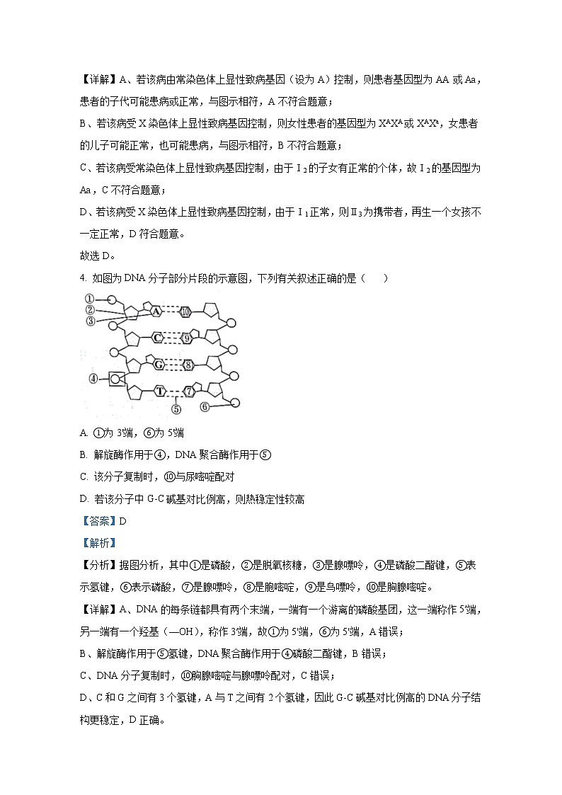 北京市中国人民大学附中2023届高三生物10月月考试题（Word版附答案）第3页