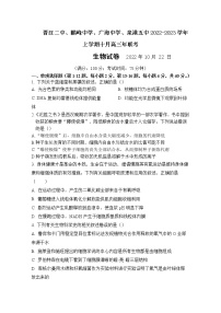 福建省泉州四校2022-2023学年高三生物上学期10月期中联考试题（Word版附答案）