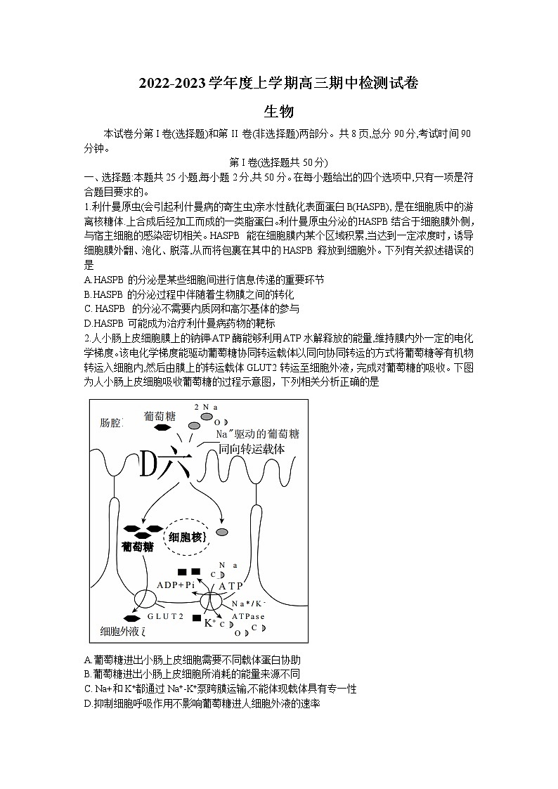 甘肃省张掖市某重点校2022-2023学年高三生物上学期期中检测试题（Word版附答案）第1页
