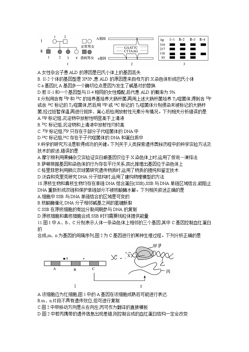 甘肃省张掖市某重点校2022-2023学年高三生物上学期期中检测试题（Word版附答案）第3页
