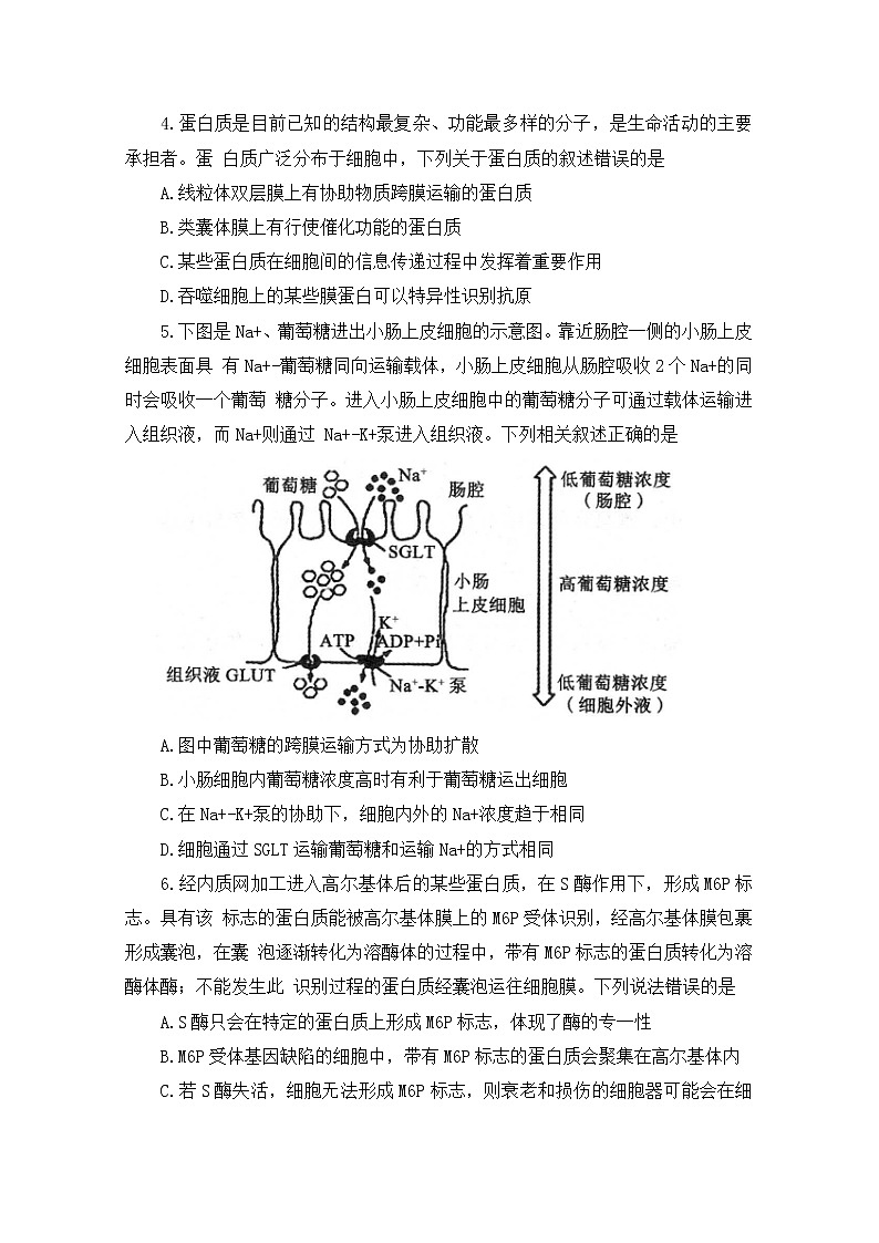河南省部分名校2022-2023学年高三生物上学期第一次阶段测试试题（Word版附答案）第2页