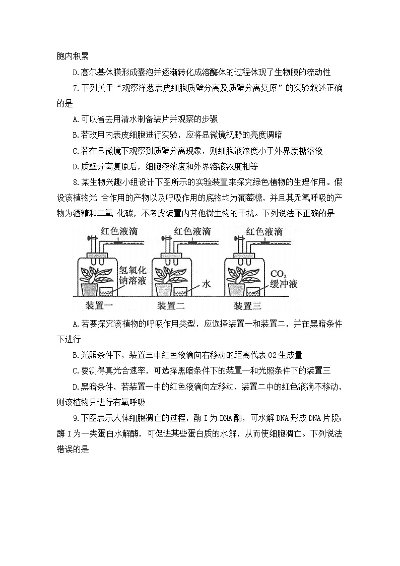 河南省部分名校2022-2023学年高三生物上学期第一次阶段测试试题（Word版附答案）第3页