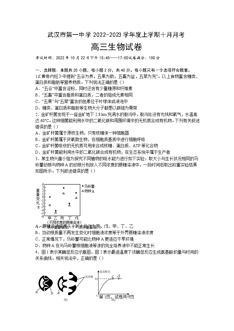 湖北省武汉市第一中学2022-2023学年高三生物上学期10月月考试题（Word版附答案）01