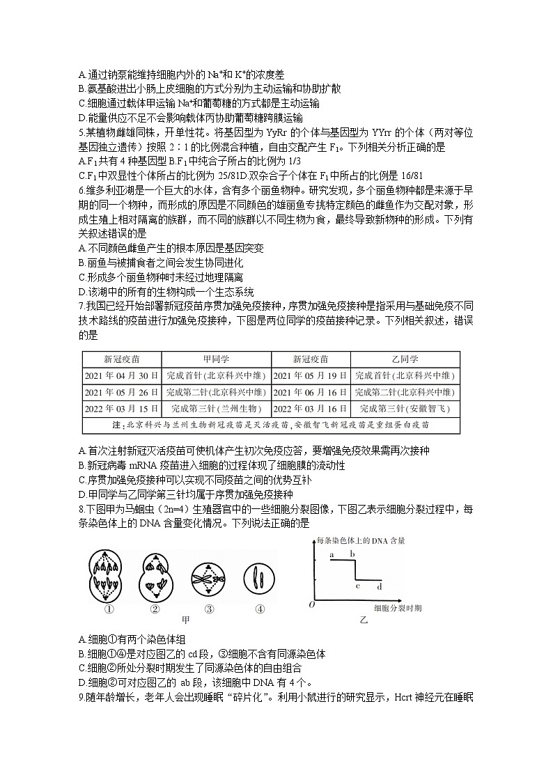 湖南省郴州市2022-2023学年高三生物上学期第一次教学质量监测试卷（Word版附答案）第2页
