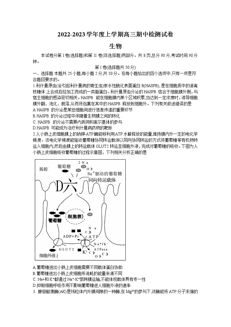 甘肃省张掖市某重点校2023届高三生物上学期期中检测试题（Word版附解析）第1页