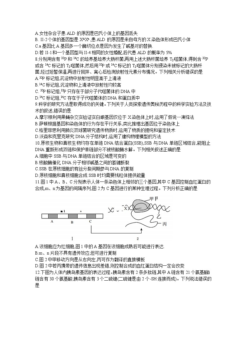 甘肃省张掖市某重点校2023届高三生物上学期期中检测试题（Word版附解析）第3页