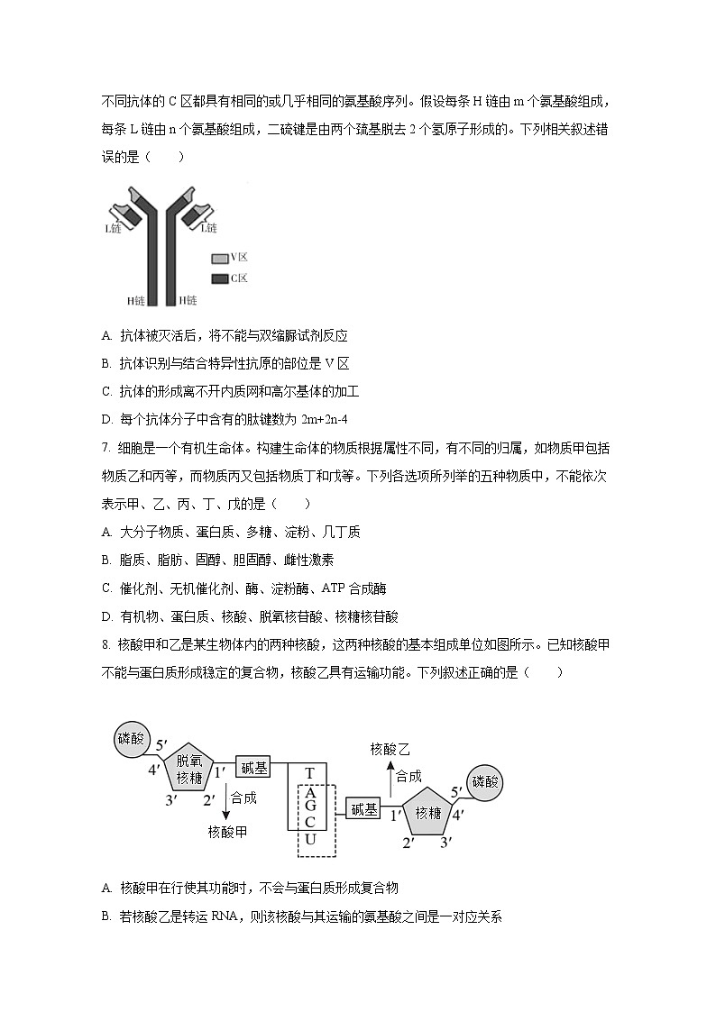 安徽省示范高中2022-2023学年高三生物上学期第二次联考试题（Word版附答案）03