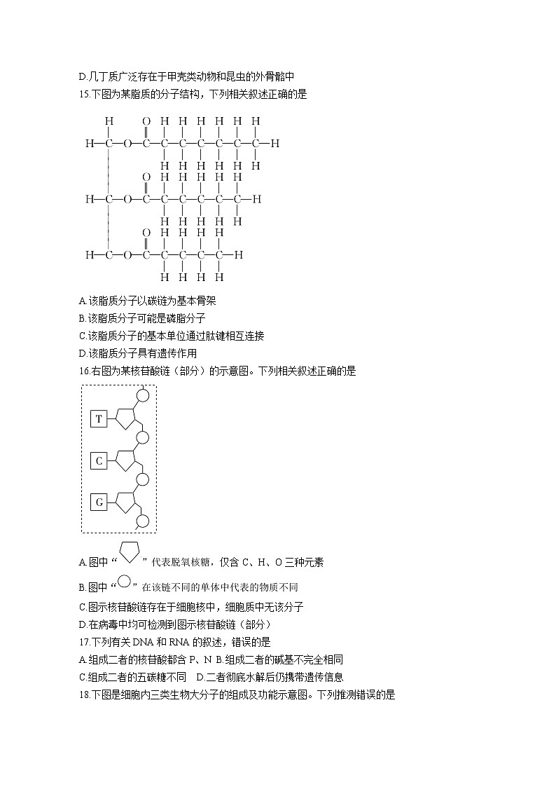 河南省许平汝联盟2022-2023学年高一生物上学期第一次联考试题（Word版附答案）03
