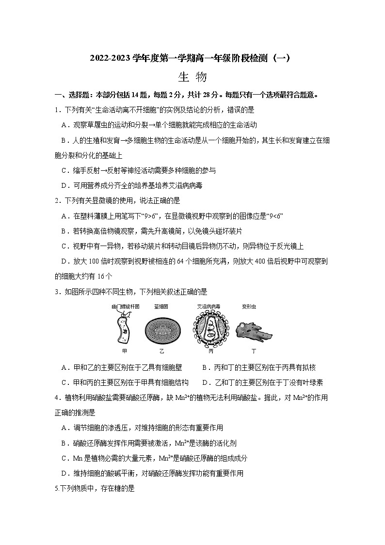 江苏省南通市海安高级中学2022-2023学年高一生物上学期第一次月考试题（Word版附答案）第1页
