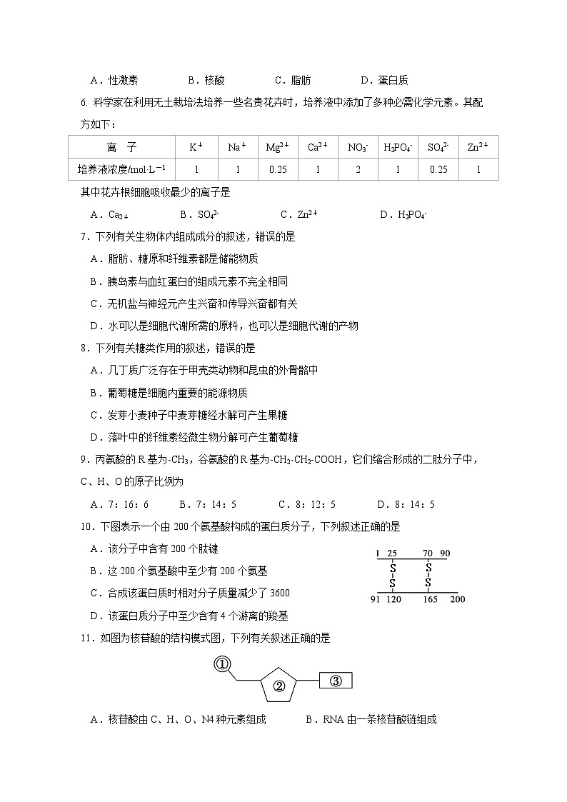 江苏省南通市海安高级中学2022-2023学年高一生物上学期第一次月考试题（Word版附答案）第2页