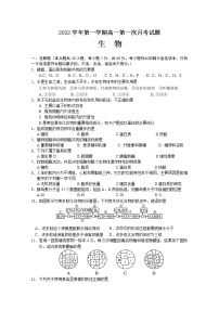 浙江省玉环市玉城中学2022-2023学年高一生物上学期第一次月考试题（Word版附答案）