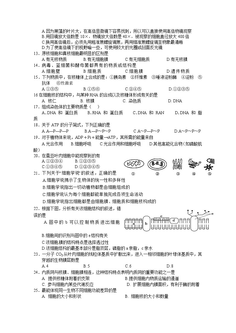 浙江省玉环市玉城中学2022-2023学年高一生物上学期第一次月考试题（Word版附答案）02