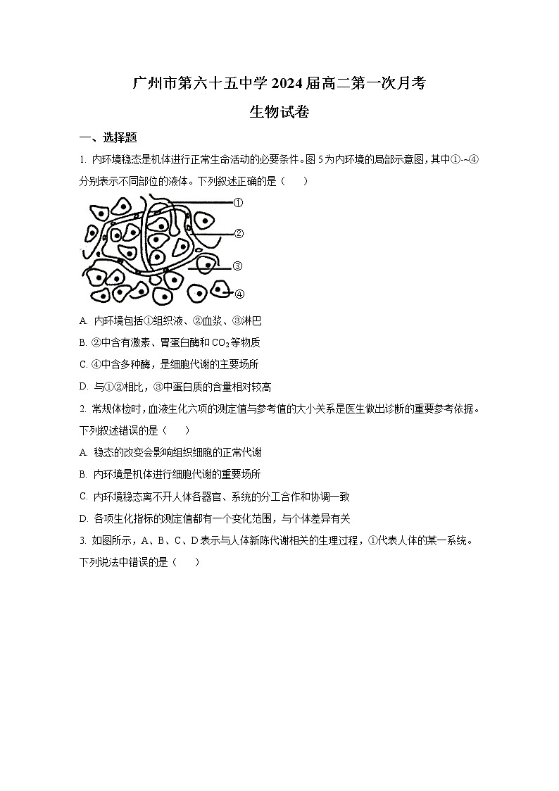 广东省广州市六十五中2022-2023学年高二生物10月月考试题（Word版附答案）01