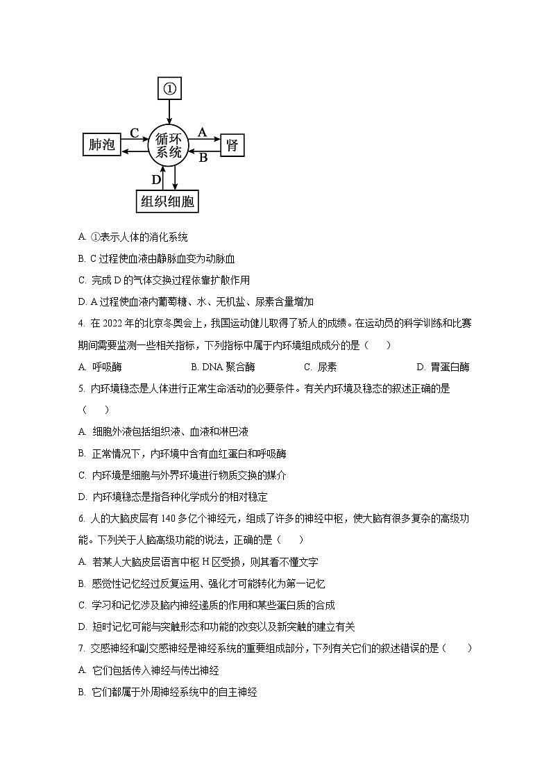 广东省广州市六十五中2022-2023学年高二生物10月月考试题（Word版附答案）02
