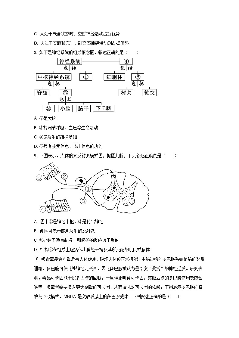 广东省广州市六十五中2022-2023学年高二生物10月月考试题（Word版附答案）03