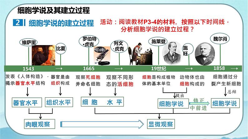 1.1 细胞是生命活动的基本单位-高中生物 课件+练习（人教版2019 必修一）05