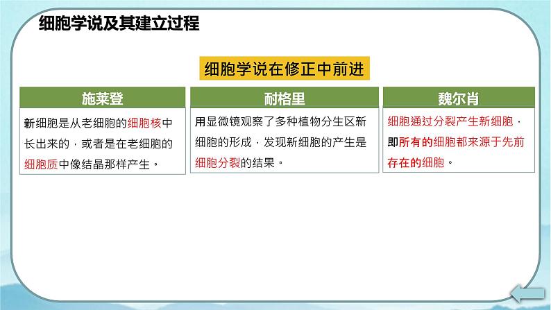 1.1 细胞是生命活动的基本单位-高中生物 课件+练习（人教版2019 必修一）06