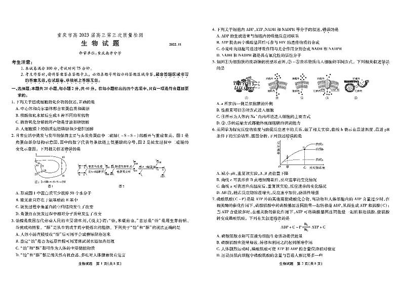 2023重庆市南开中学高三上学期11月第三次质量检测生物PDF版含解析01