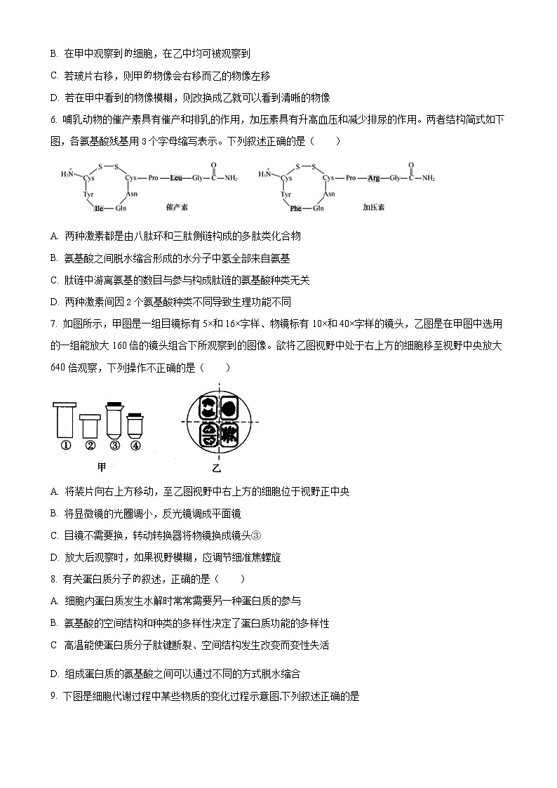 2023天津滨海新区塘沽一中高三上学期第一次月考生物试题含解析02