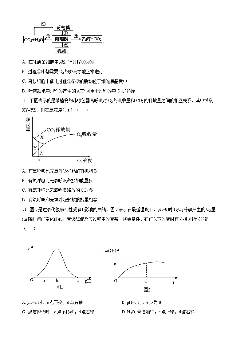 2023天津滨海新区塘沽一中高三上学期第一次月考生物试题含解析03