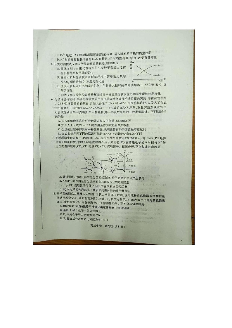 2023烟台高三上学期期中学业水平测试生物试题含答案02