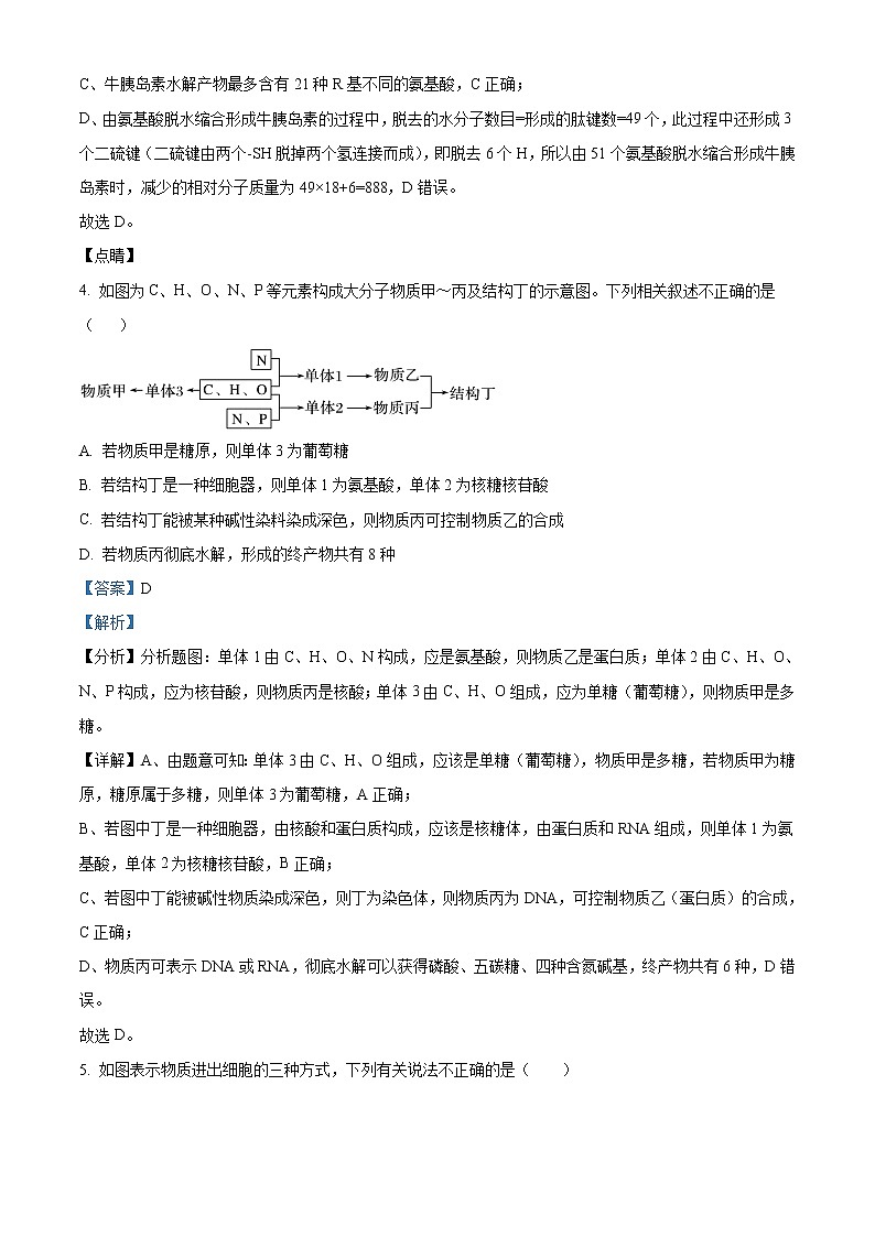 2022阿克苏地区柯坪县柯坪湖州国庆中学高三上学期期中生物试题含解析03