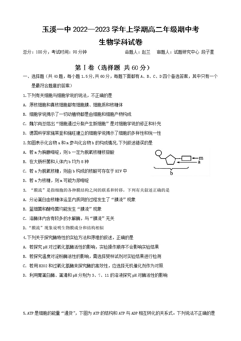 2023玉溪一中高二上学期期中考试生物试题含答案第1页