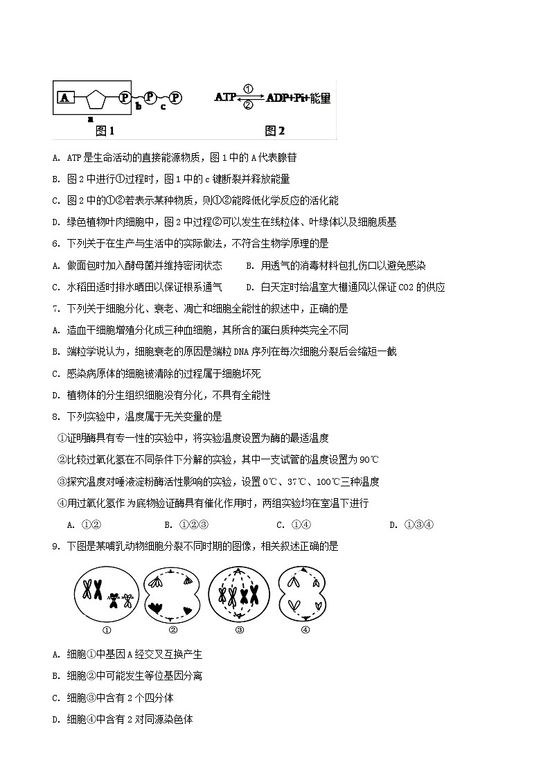 2023玉溪一中高二上学期期中考试生物试题含答案第2页