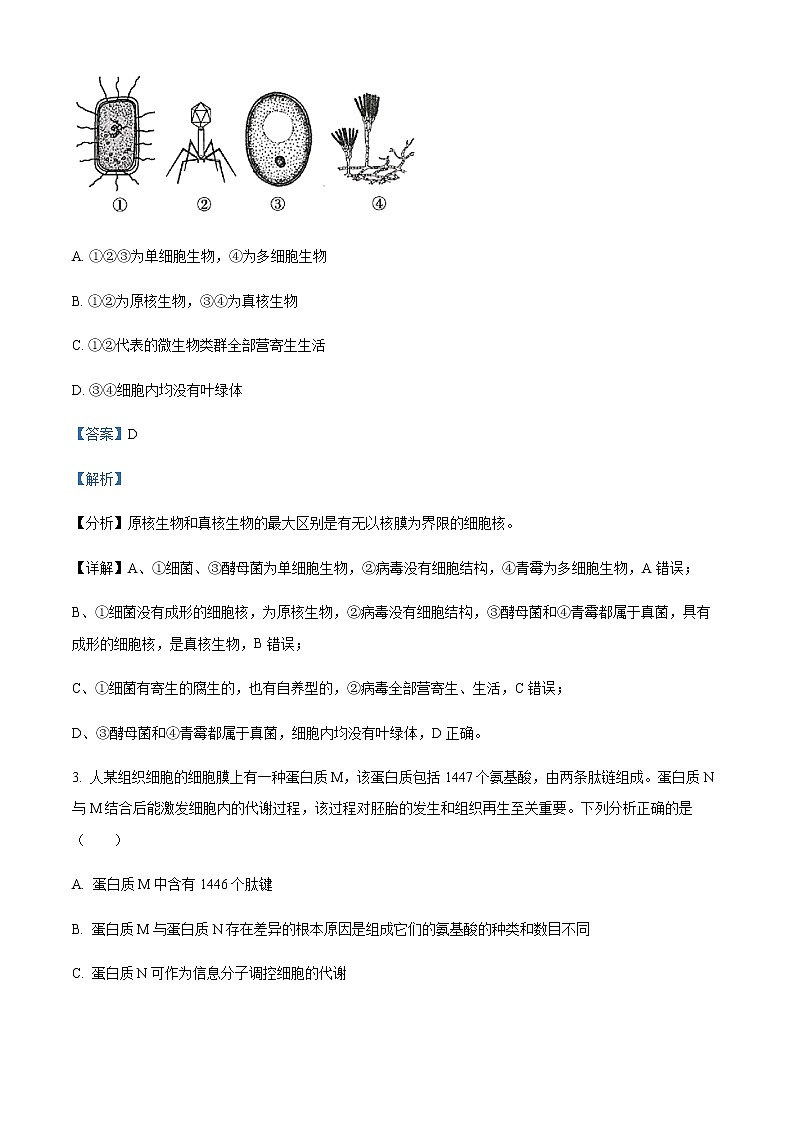 山西省太原师范学院附属中学2022-2023学年高二上学期分班考试生物试题含解析第2页
