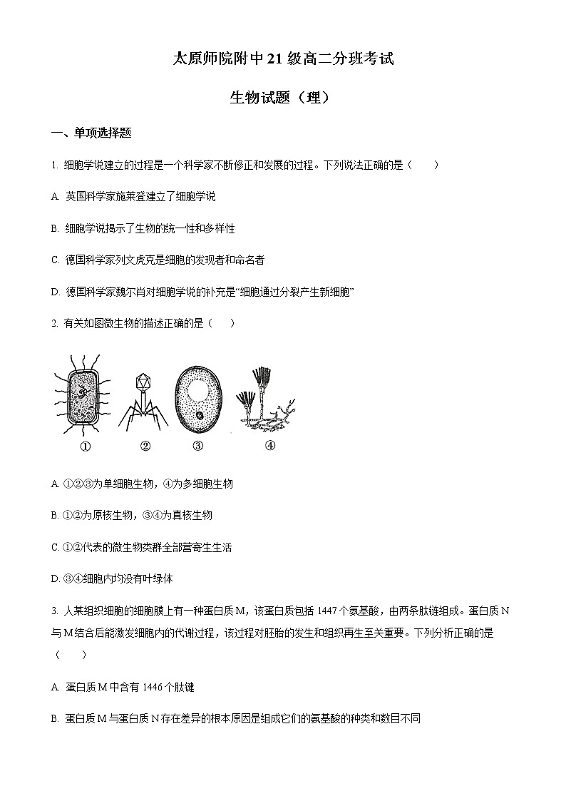 山西省太原师范学院附属中学2022-2023学年高二上学期分班考试生物试题第1页