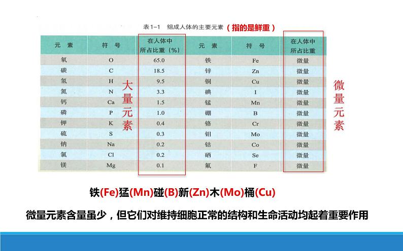 1.1 水和无机盐是构成细胞的重要无机物-【高效备课】2022-2023学年高一生物同步备课优质课件（浙科版2019必修1）第5页