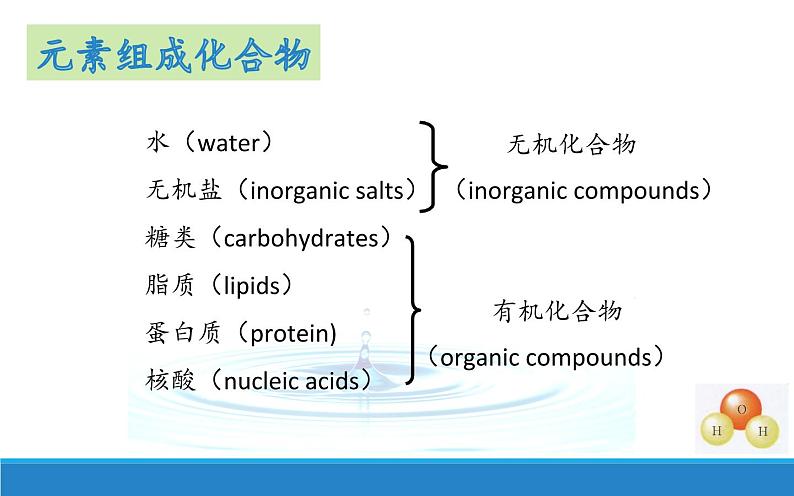 1.1 水和无机盐是构成细胞的重要无机物-【高效备课】2022-2023学年高一生物同步备课优质课件（浙科版2019必修1）第8页