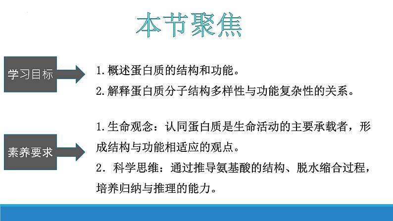 1.2 生物大分子以碳链为骨架——蛋白质（第2课时）-【高效备课】2022-2023学年高一生物同步备课优质课件（浙科版2019必修1）04