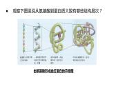 1.2 生物大分子以碳链为骨架——蛋白质（第3课时）-【高效备课】2022-2023学年高一生物同步备课优质课件（浙科版2019必修1）