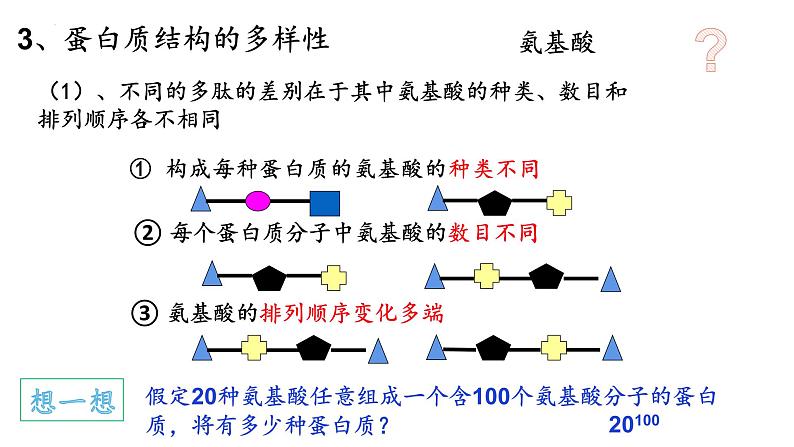 1.2 生物大分子以碳链为骨架——蛋白质（第3课时）-【高效备课】2022-2023学年高一生物同步备课优质课件（浙科版2019必修1）04